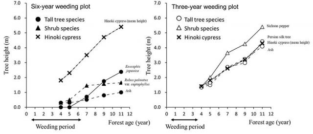 Figure. Comparison of tree height growth
