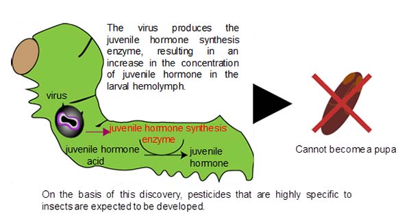 Fig. 1 An overview of the study