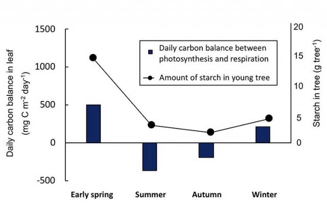 Figure 1: Daily photosynthesis and respiration volume