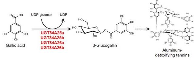 Figure 2.