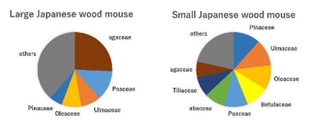 Figure 1: Differences observed in the composition