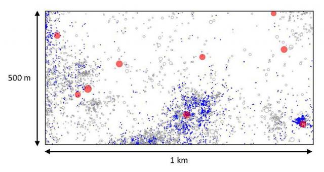 The map shows the distribution of a species 