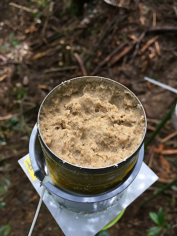 Fig1. Splash cup after (right) rainfall. 