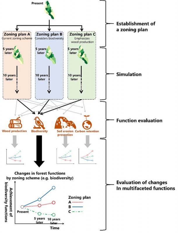 Figure: Schematic diagram of the established model