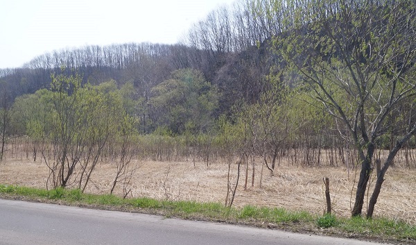 photo02:Abandoned dry farmland in central Hokkaido in Japan.