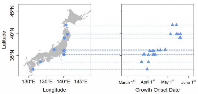 Figure. Relationship between latitude 