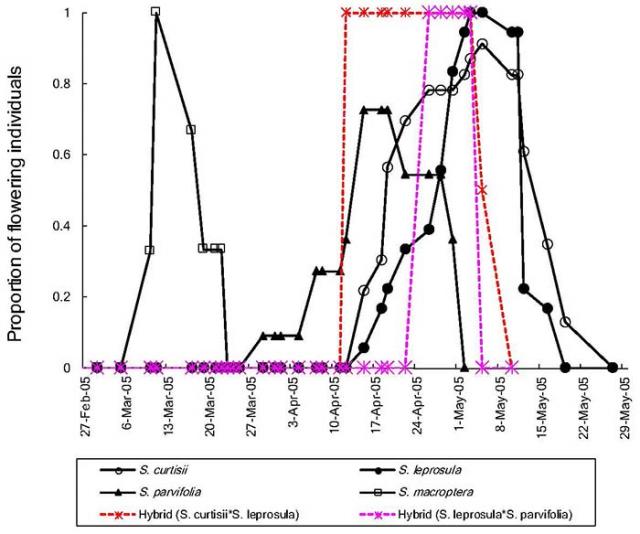Figure 1: Flowering periods of two types