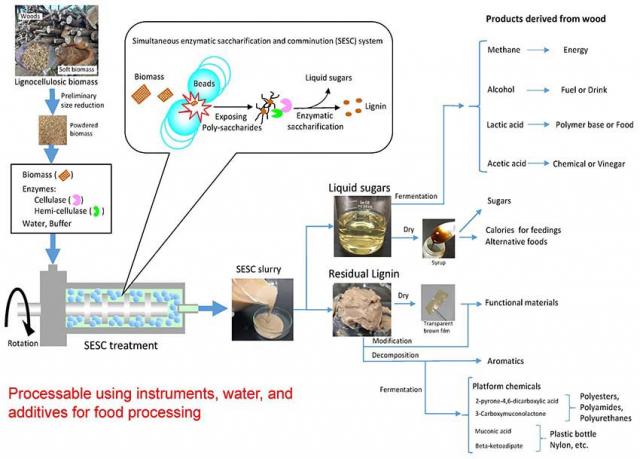 Figure: Novel utilization of wood