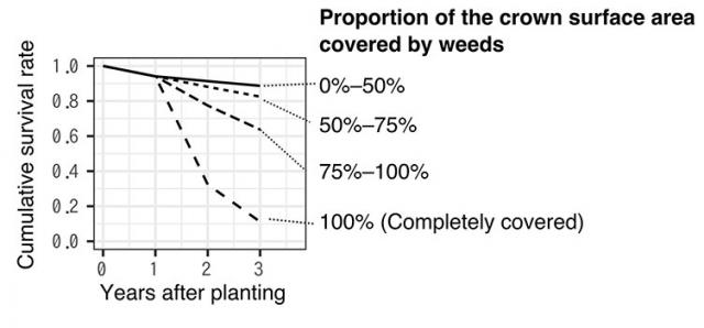 Figure: Secular change in cumulative survival rates of planted