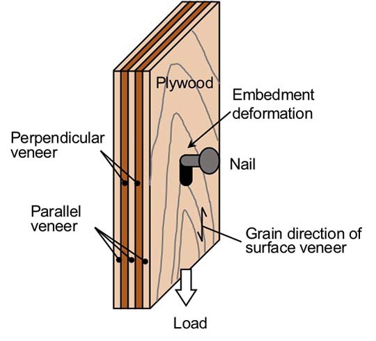 Figure1.A state in which embedment deformation occurs