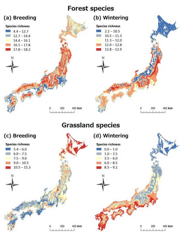 Fig.1: Prediction image of the species richness of forest
