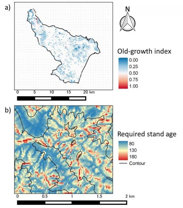 Fig.1. Prediction map of complexity in the forest structure