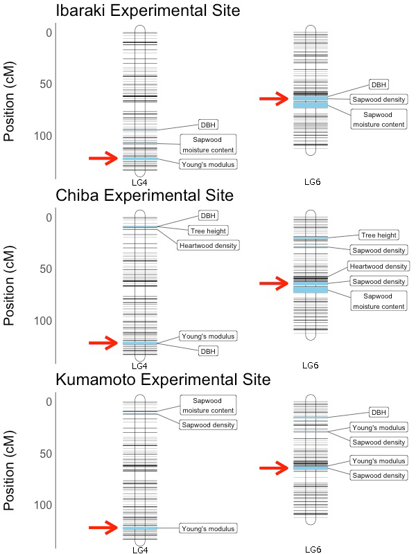 Figure 2. Genetic map illustrating the genomic regions associate