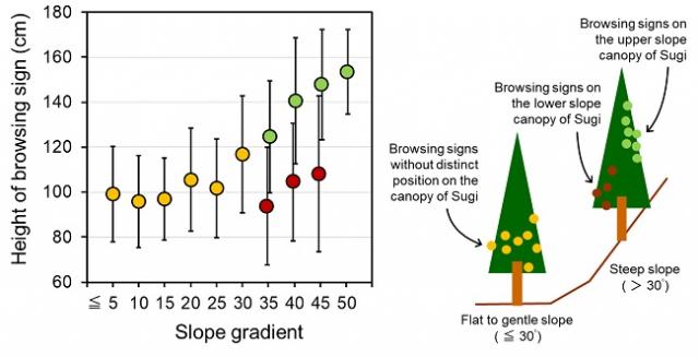 Figure2: The height of the browsing signs caused