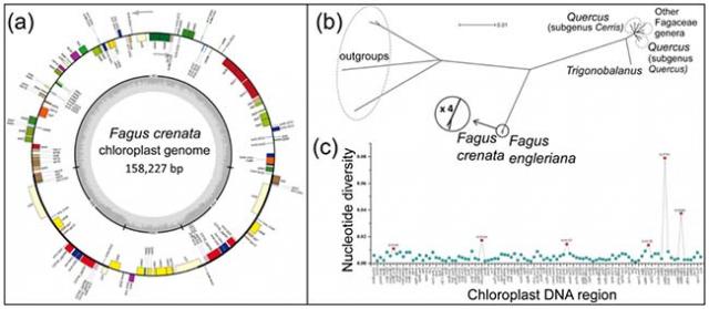 Figure 2