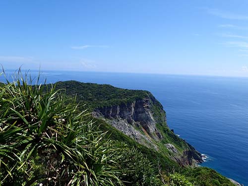 Photo1. A mesic forest at Sekimon on Hahajima Island