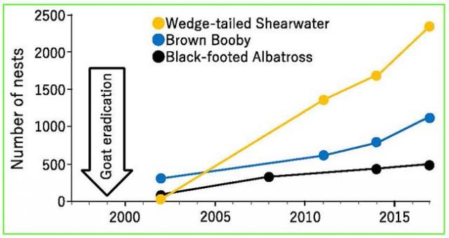 Fig.1. Increase in seabird populations after the eradication
