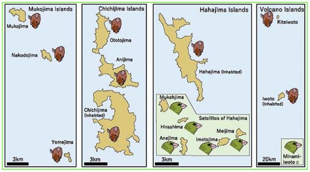 Fig.4. Distribution of Oriental greenfinch