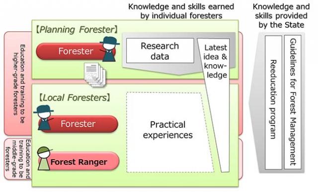 Figure: The knowledge and skills of foresters