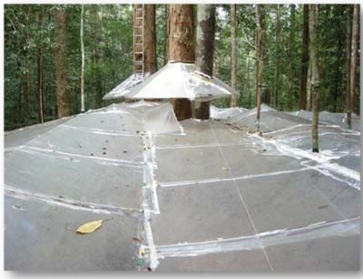 Photo：Umbrella-shaped vinyl sheets used