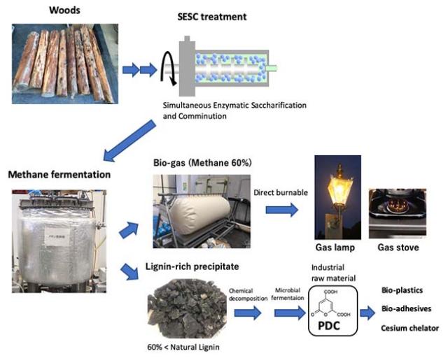 Figure 1. Methane fermentation using wood