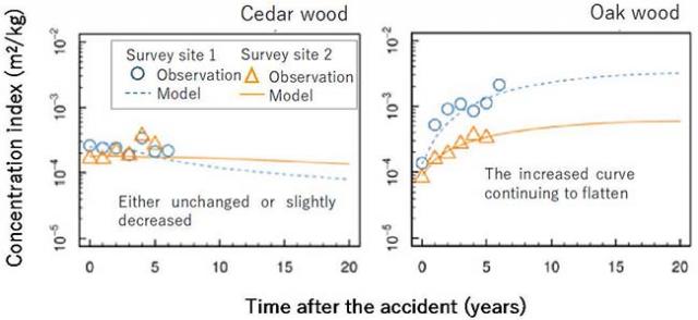 Figure 1. Predicted concentrations of cesium-137 in cedar
