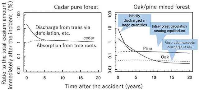 Figure 2. Prediction of cesium-137 circulation