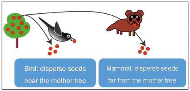 Figure : There is a large difference between the distances