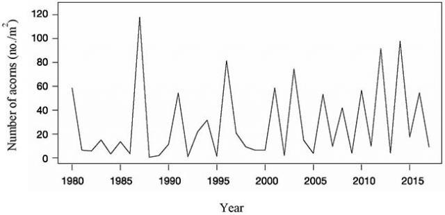 Figure 1: Inter-annual fluctuation of acorn production