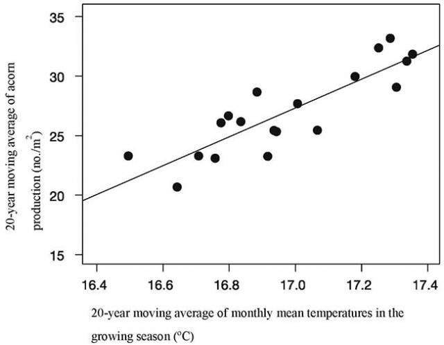 Figure 2: Relationship between temperature and acorn production