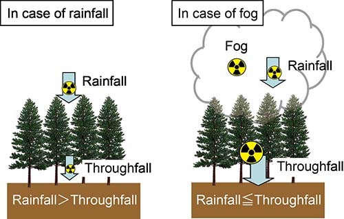 Figure 1: Relationship between concentrations of radiocesium