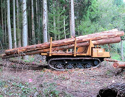 Photo: Transporting 8m logs with a medium-sized forwarder 