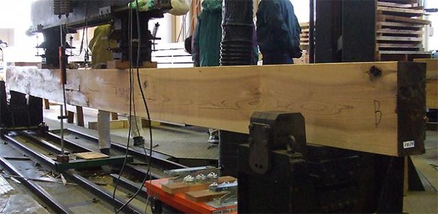Photo: Scene of a bending test of Japanese cedar lumber 