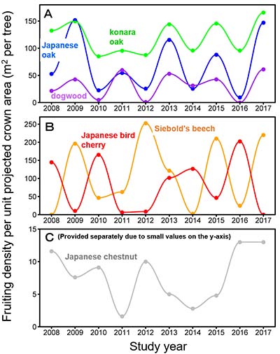 Figure 2: Yearly changes in fruiting density of the 6 major tree