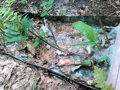 Photos：Views of a turbid water filtration experiment