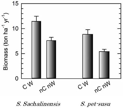 Figure. A comparison of the effects on willow yield