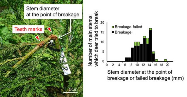 Figure 2：View of the point of breakage and diagram showing