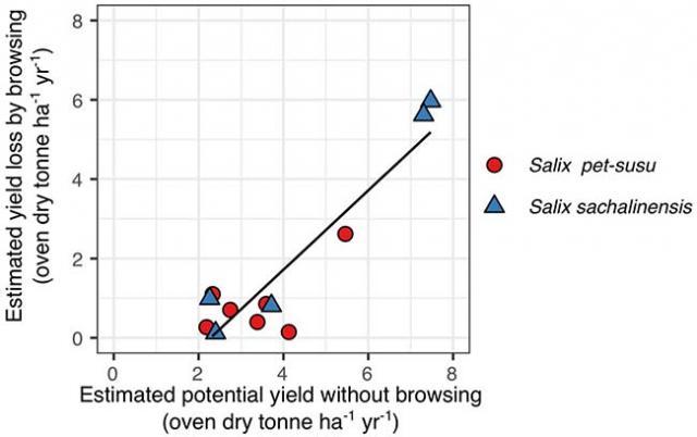 Figure: Relationship between estimated potential biomass yield