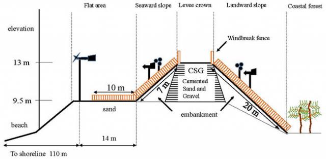 Figure1 Cross-section of the study area