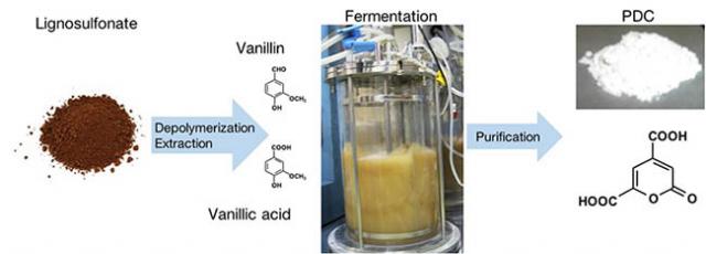 Figure Conversion of lignosulfonate