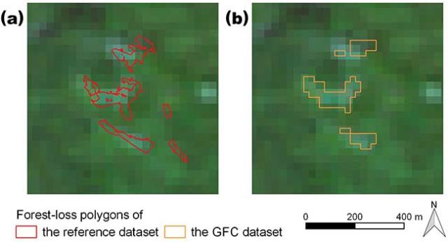 Figure: Examples of forest-loss polygons