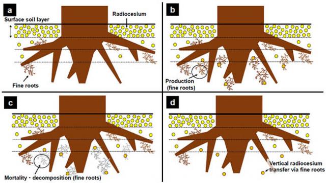 Figure：Schematic diagrams