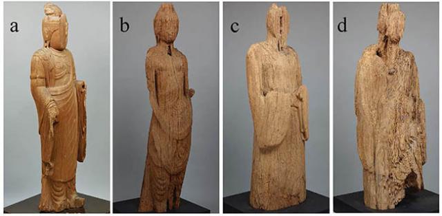 Figure2：a) Statue classified as softwood