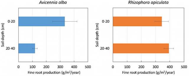 Figure 1. Fine root production at depths of 0-40cm