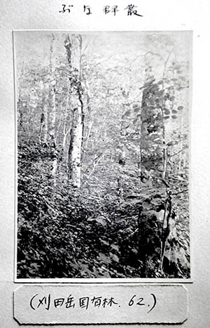 Figure 2. Photo album of the Aomori National Forest Regional
