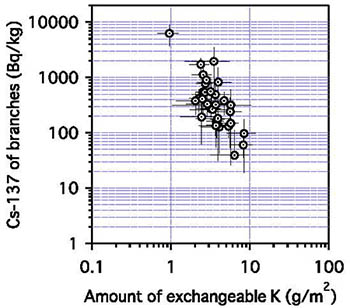Fig. 3. Relationship between the cesium-137 concentration