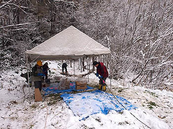 Photo: Scene of the harvest experiment