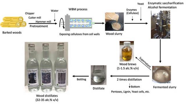 Figure 1. Schematic flowchart of the combined wet-type