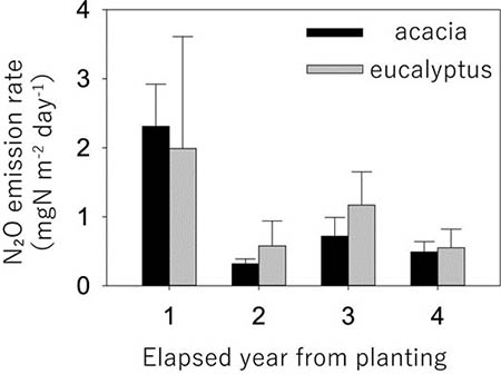 Figure: During the period from 1 to 4 years after planting