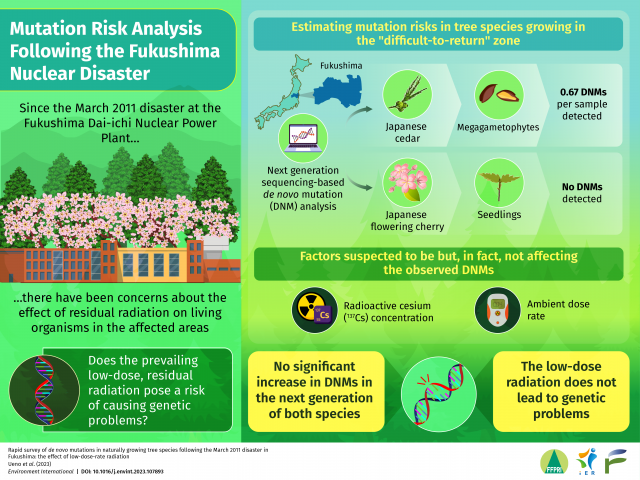 Infographic